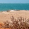 1T0A0445.jpg