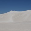 1T0A8118.jpg