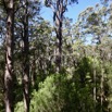 1T0A8290.jpg