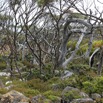 109A8896.jpg