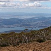 1T0A3595.jpg