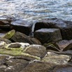 1T0A4430.jpg