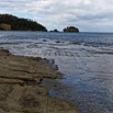 1T0A4434.jpg