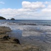 1T0A4442.jpg