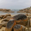 1T0A4090.jpg