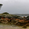 1T0A4107.jpg
