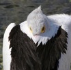 109A9886.jpg