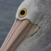109A9904.jpg