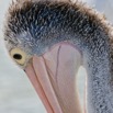 1T0A5756.jpg