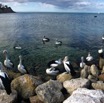 IMG_9374.jpg