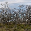 1T0A5335.jpg