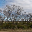 1T0A5336.jpg
