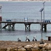 1T0A6545.jpg