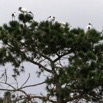 1T0A6595.jpg