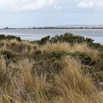 1T0A6728.jpg