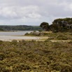 1T0A6739.jpg