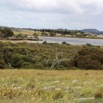 1T0A6740.jpg