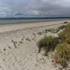 109A0224.jpg