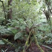 109A9607.jpg