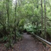 1T0A4868.jpg