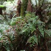 1T0A4882.jpg