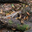 1T0A4869.jpg