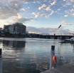 IMG_9183.jpg
