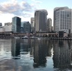 IMG_9186.jpg