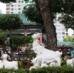 1T0A5276.jpg