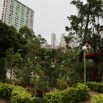 1T0A5285.jpg